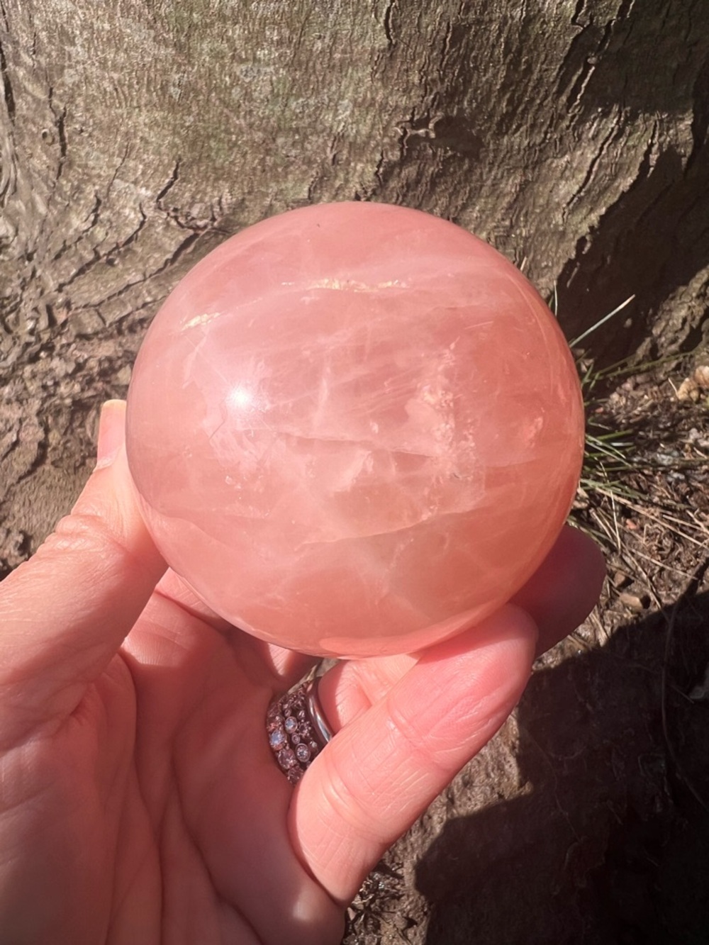 Starlight (6) Rose Quartz Sphere |  Crystal